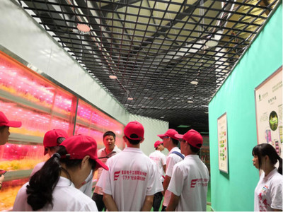 心系三農(nóng)，讓農(nóng)業(yè)插上科技的翅膀——網(wǎng)絡(luò)工程賦能現(xiàn)代農(nóng)業(yè)發(fā)展